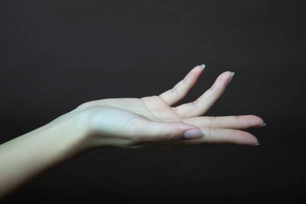 This set showcases versatile female hand poses against a clean black background, perfect for advertising templates. It features elegant, expressive gestures—holding products, delicate finger placements, and dynamic movements. Each shot emphasizes grace and professionalism, designed to highlight items like jewelry, cosmetics, or tech gadgets. The neutral setup ensures easy integration into various marketing materials, providing a timeless, sophisticated appeal that enhances brand messaging and captures viewer attention effectively.