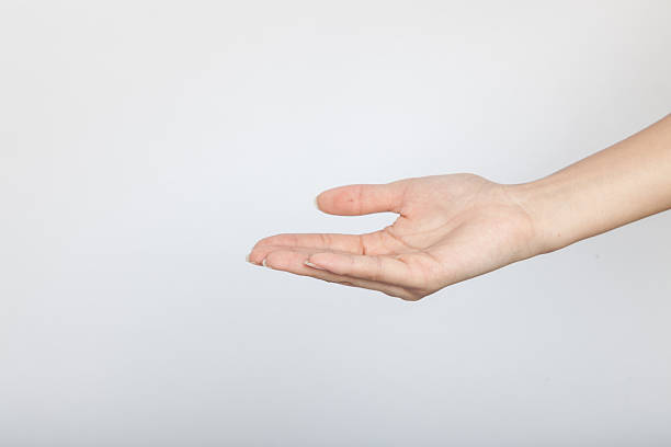 This set showcases versatile female hand poses against a clean white background, perfect for advertising templates. It features elegant, expressive gestures—holding products, delicate finger placements, and dynamic movements. Each shot emphasizes grace and professionalism, designed to highlight items like jewelry, cosmetics, or tech gadgets. The neutral setup ensures easy integration into various marketing materials, providing a timeless, sophisticated appeal that enhances brand messaging and captures viewer attention effectively.