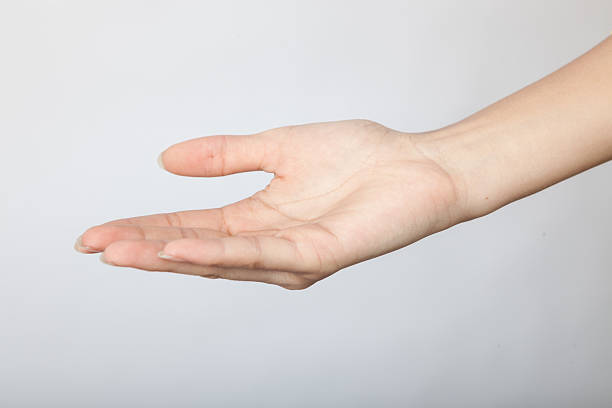 istock This set showcases versatile female hand poses against a clean white background：Hold something upwards with your palm 2237448629