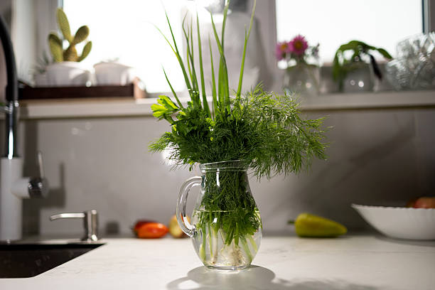 istock Fresh Herbs in a Glass Jar Placed on a Kitchen Counter With a Modern Decor 2237451612