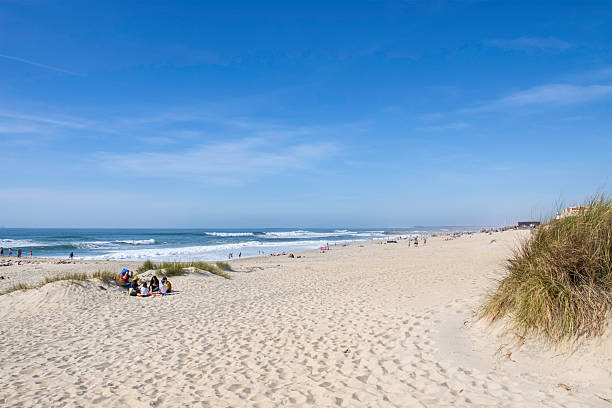 Shot of a wide beach with clouds reflecting in the water and blue sky without people