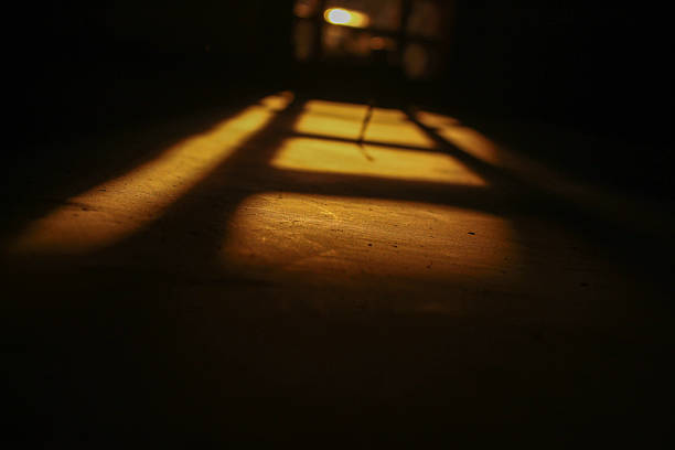 istock shadows on the wall when sunlight enters. The golden light creates aesthetic silhouettes and geometric patterns. 2237458607