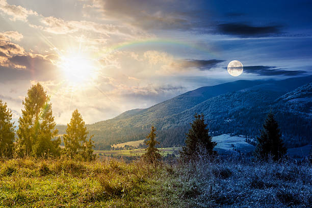 istock hillside of mountain range with coniferous forest and meadow 2237464248