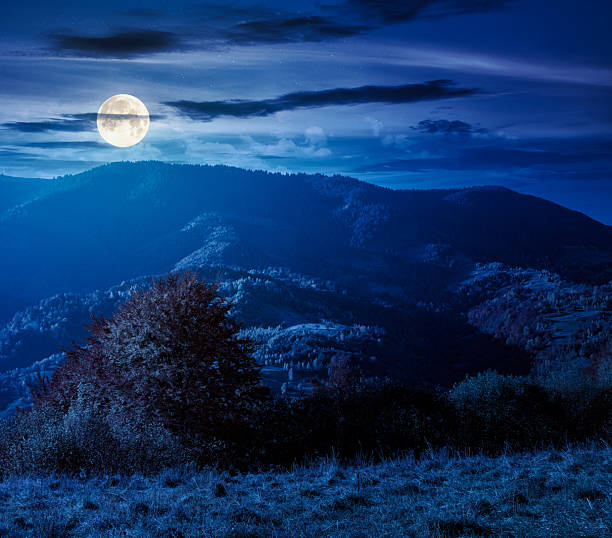 istock autumn mountain landscape at night 2237464313
