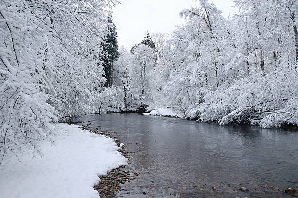 Snowy river with trees in the background. The snow is covering the ground and the trees. The water is calm and clear. The scene is peaceful and serene