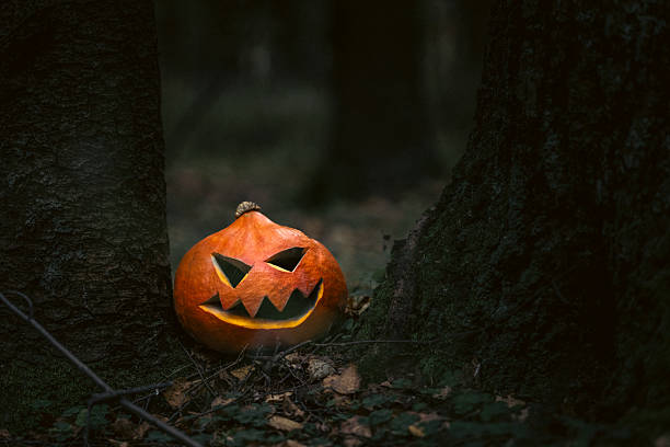 Carved pumpkin glow warmly on a mossy log in a forest, creating a playful Halloween mood amid autumn scenery and natural textures.