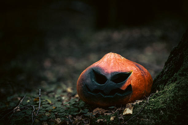 Halloween Pumpkins in Dark Forest