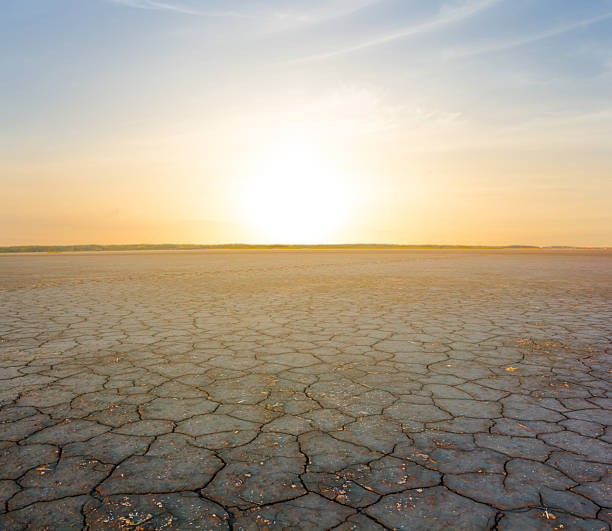 istock dry cracked saline land at the dramatic sunset 2237474356