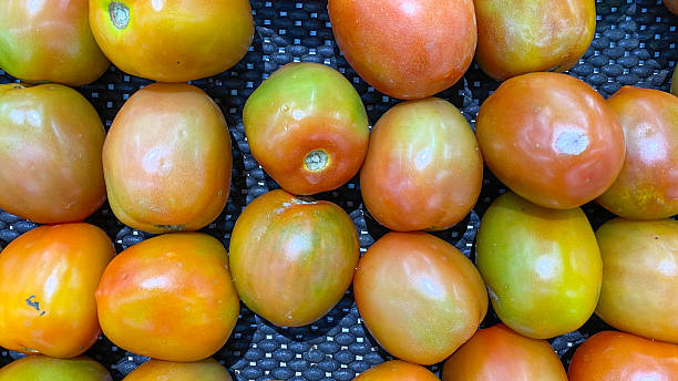 Full Frame Shot Of Tomatoes