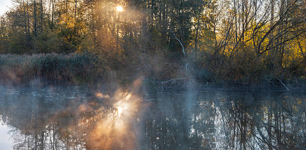 istock Autumn park by the river with fog. 2237477945