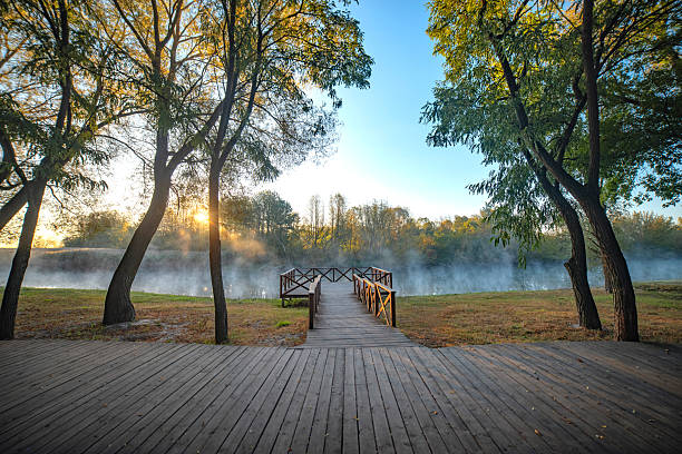 city ââautumn park by the river with fog.