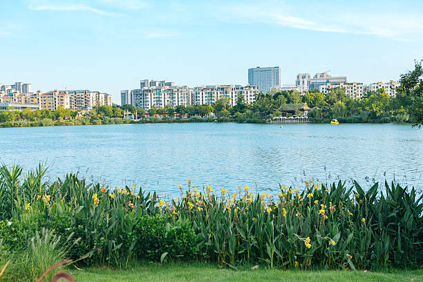 Artificial lake in front of flowers