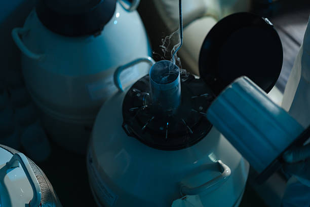 istock Liquid Nitrogen Cryogenic Tank Handling for Semen Straw Storage in Veterinary Lab 2237482586