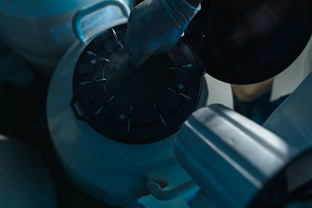 istock Close-up, a technician checks temperature and inventory while removing straws from a dewar of liquid nitrogen, applying quality control and biosecurity to protect bull semen for AI programs. 2237482604