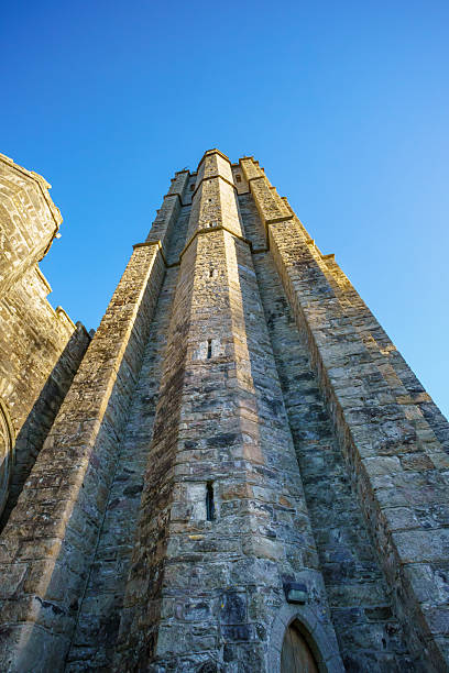 The Rock of Cashel is one of Ireland's most spectacular historic sites. A prominent green hill, with limestone outcrops, rises from a grassy plain. On the hill, walls surround a round tower, a13th-century Gothic cathedral and the finest 12th-century Romanesque chapel in Ireland.