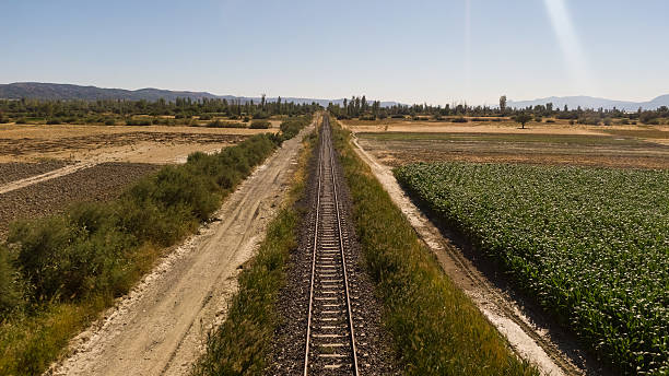 A railroad track stretches far away between green cornfields and dry fields. Transportation and agriculture.