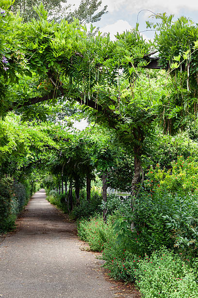 istock Lush garden in the city 2237490177
