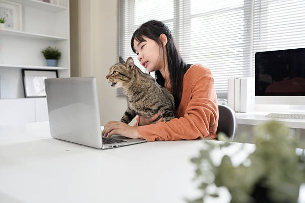 istock Young woman works laptop at home office with cat. Remote work, online shopping, e-learning, working from home concept. Freelancer, student doing work from home. Cozy workplace, friendly atmosphere with pet. 2237493409