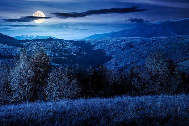 istock autumn mountain landscape at night 2237503775
