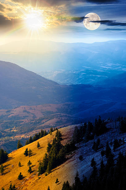 istock fir trees on a meadow down the hill 2237503809