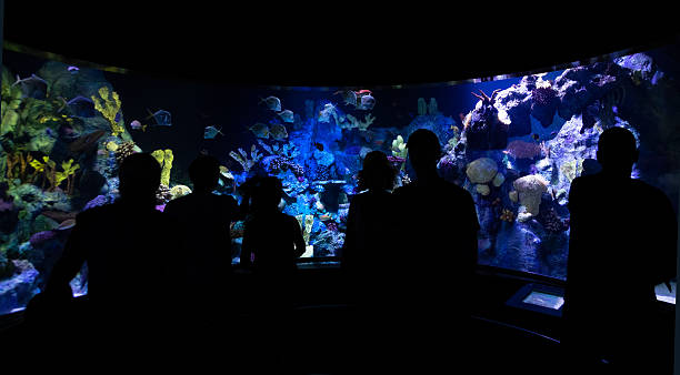 istock Entertainment and leisure at the aquarium. 2237506685