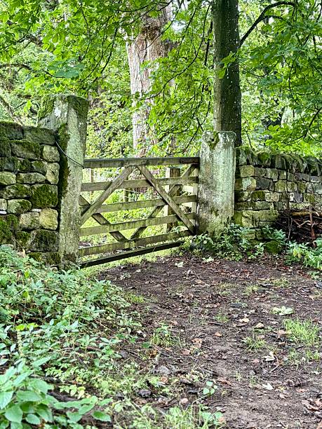 istock A rustic wooden gate set in a mossy stone wall opens to a forested pasture. Surrounded by lush greenery and towering trees, the damp earth adds to the peaceful, countryside charm. 2237509943