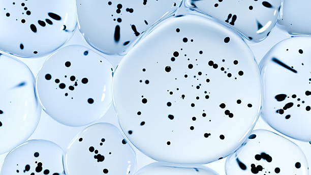 istock Bubbles of varying sizes are clustered together, revealing a translucent appearance. Each bubble contains small dark specks, creating an intriguing visual effect. 3d render 2237516333