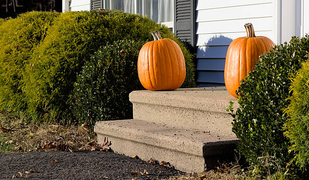 Two pumpkins sitting on a cement step.