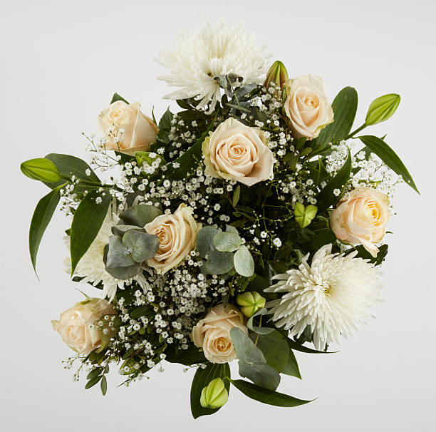 istock Cream colored rose bouquet top view isolated nature background with clipping path 2237519076