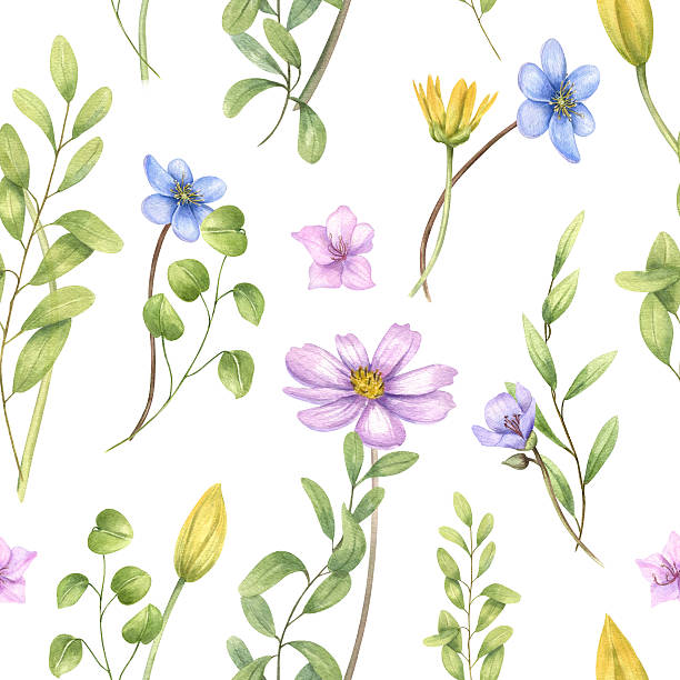 istock Spring seamless pattern with watercolor tulips, anemones, ranunculus, cosmos and green herbs on isolated background. Floral illustration for textile, wallpaper, wrapping paper, packaging design 2237520598