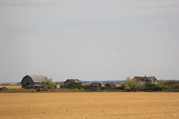 Abandoned brick house and barns in Saskatchewan.