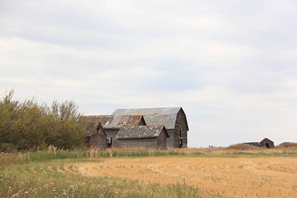 istock Abandoned farm  during autumn. 2237524831