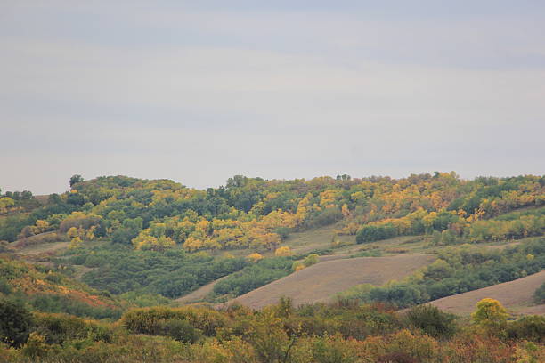 istock Abandoned farm  during autumn. 2237524843