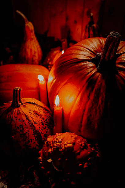 istock Pumpkins and Gourds with Candlelight for Halloween 2237526814