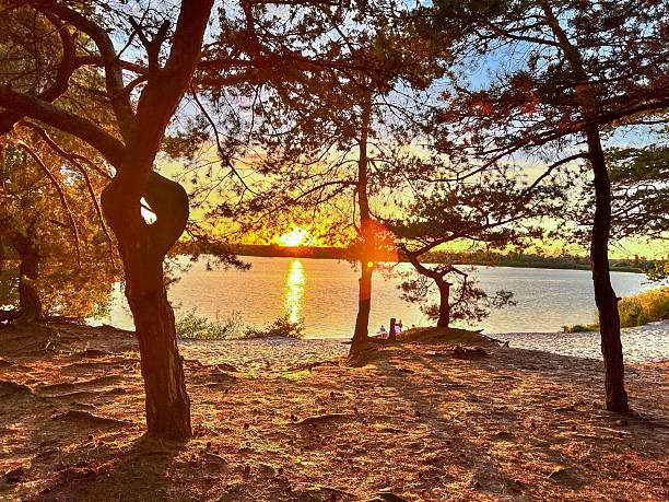 istock Pine trees foregrounding sunset reflecting across lake water 2237527434