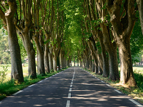 istock Road in Provence (France) from Manosque to Apt 2237530757
