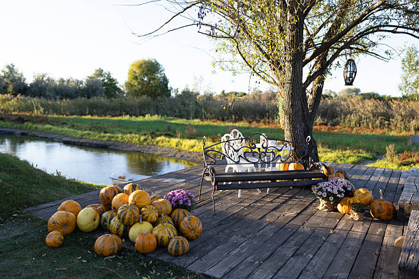 Picturesque autumn scene with pumpkins, a rustic wooden deck, and a classic bench by the tranquil river. Fall, Thanksgiving, Halloween and countryside themes.