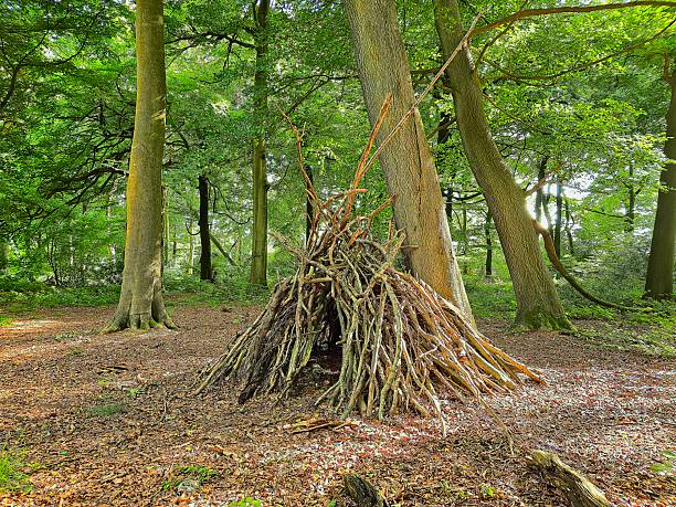 istock Nature's Serenade - stick house 2237535196