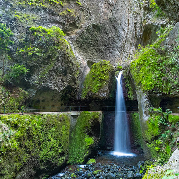 istock Levada Nova in Madeira. Beautiful hiking path with waterfalls and tunnels 2237537700