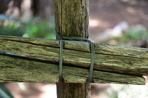 Two wooden posts tied with green wire