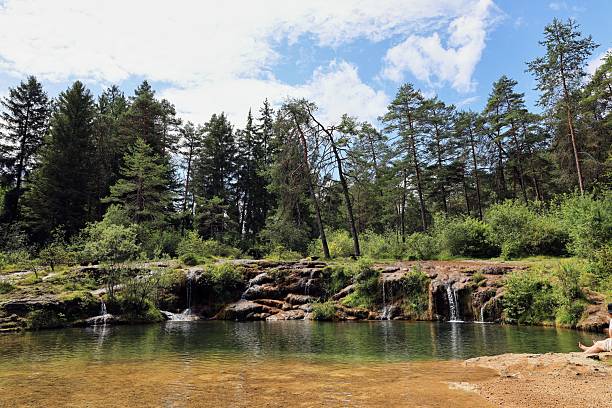Serene forest landscape with a small waterfall and clear pond under a bright blue sky.
