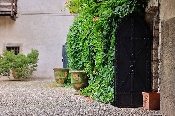 A charming courtyard with cobblestone ground, lush green ivy, and an ornate black door, creating a rustic ambiance.
