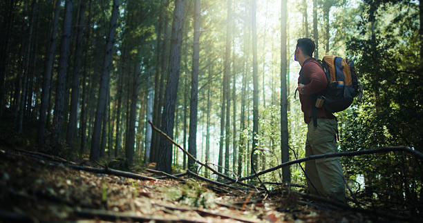 Thinking, sightseeing and man with hiking in forest for travel adventure, explore scenery or space. Low angle, person and backpack in woods with journey reflection, trekking break and walking pause