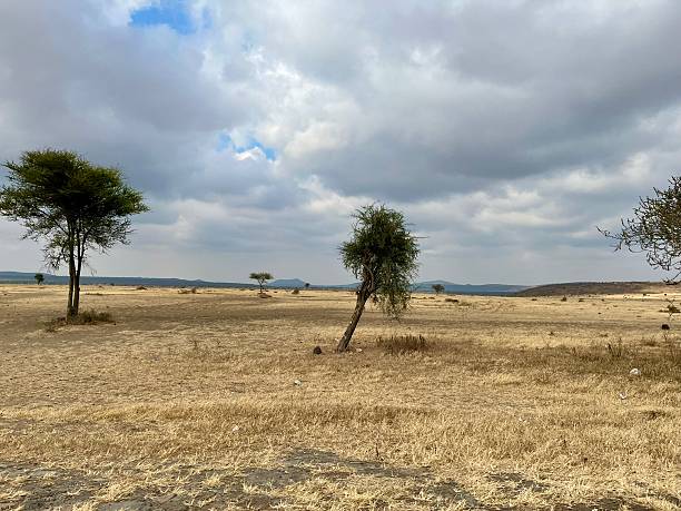 istock Tanzania - arid landscape between Arusha and Karatu 2237547112