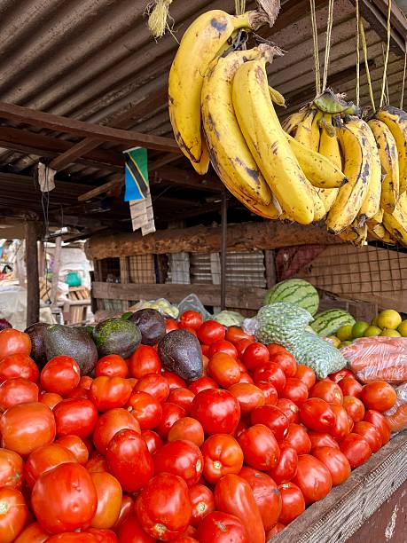 istock Tanzania - Arusha - local market 2237550149