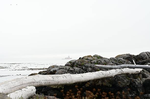 Mystical marine landscape of Victoria, BC enveloped in coastal fog