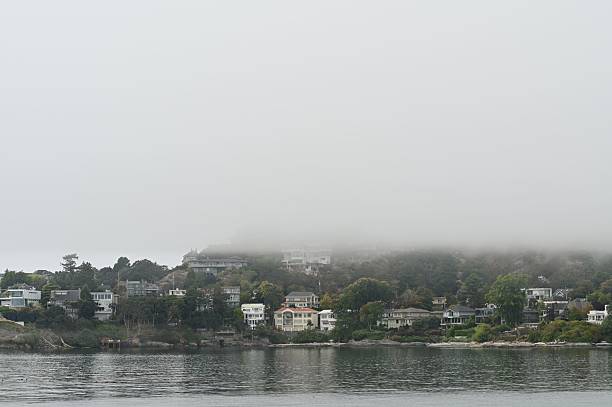 foggy scary landscape
