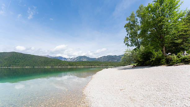 istock Great crested grebe in his birds nest on german Eibsee in Bavaria 2237555898