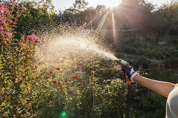 Close-up of a funny garden sprinkler with colorful flexible pipes watering grass in the garden.