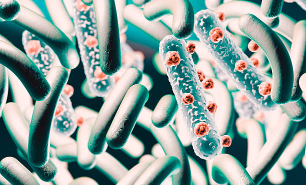 istock Microbacteria and bacterial organisms.biology and science background. 2237557465
